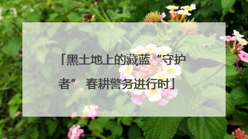 黑土地上的藏蓝“守护者” 春耕警务进行时