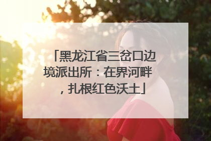 黑龙江省三岔口边境派出所：在界河畔，扎根红色沃土