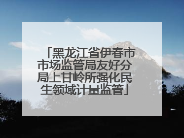 黑龙江省伊春市市场监管局友好分局上甘岭所强化民生领域计量监管