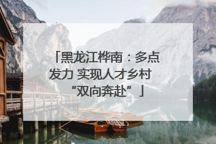 黑龙江桦南：多点发力 实现人才乡村“双向奔赴”