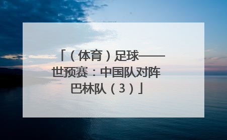 （体育）足球——世预赛：中国队对阵巴林队（3）