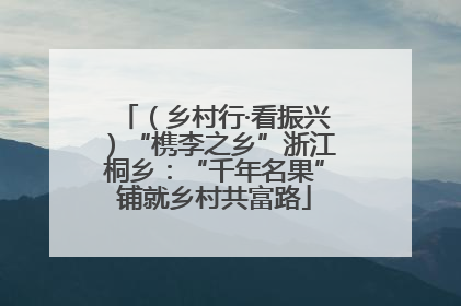 （乡村行·看振兴）“槜李之乡”浙江桐乡：“千年名果”铺就乡村共富路