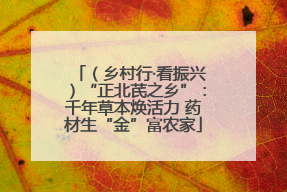 （乡村行·看振兴）“正北芪之乡”：千年草本焕活力 药材生“金”富农家