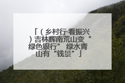 （乡村行·看振兴）吉林辉南荒山变“绿色银行” 绿水青山有“钱景”