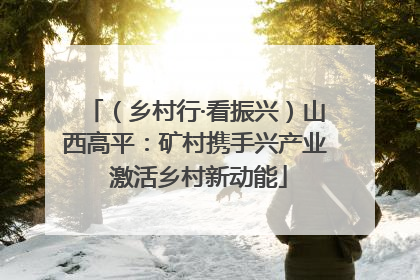 （乡村行·看振兴）山西高平：矿村携手兴产业 激活乡村新动能