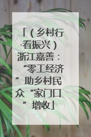 （乡村行·看振兴）浙江嘉善：“零工经济”助乡村民众“家门口”增收