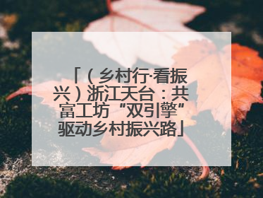 （乡村行·看振兴）浙江天台：共富工坊“双引擎”驱动乡村振兴路