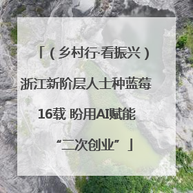 （乡村行·看振兴）浙江新阶层人士种蓝莓16载 盼用AI赋能“二次创业”