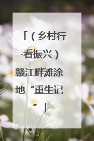 （乡村行·看振兴）赣江畔滩涂地“重生记”