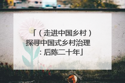 （走进中国乡村）探寻中国式乡村治理：后陈二十年