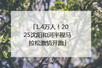 1.4万人！2025沈阳和河半程马拉松激情开跑