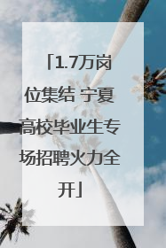 1.7万岗位集结 宁夏高校毕业生专场招聘火力全开