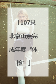 107只北京雨燕完成年度“体检”