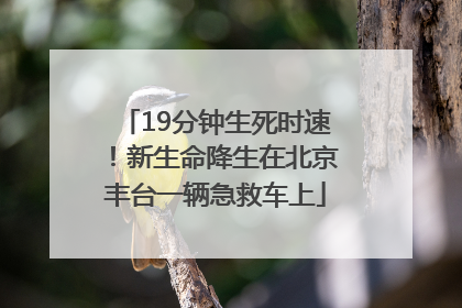 19分钟生死时速！新生命降生在北京丰台一辆急救车上