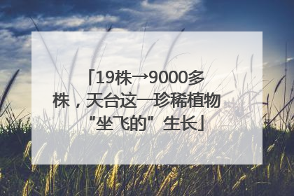 19株→9000多株，天台这一珍稀植物“坐飞的”生长