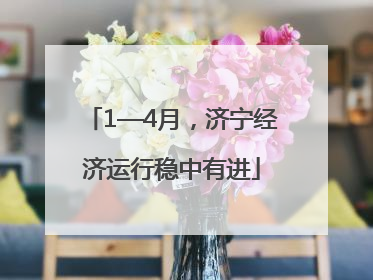 1—4月，济宁经济运行稳中有进