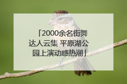 2000余名街舞达人云集 平原湖公园上演动感热潮