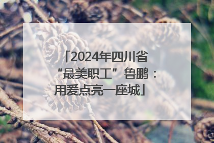2024年四川省“最美职工”鲁鹏：用爱点亮一座城