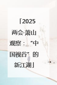 2025两会·萧山观察：“中国视谷”的新江湖
