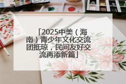 2025中美（海南）青少年文化交流团抵琼，民间友好交流再添新篇