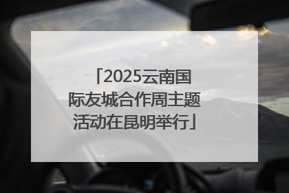 2025云南国际友城合作周主题活动在昆明举行