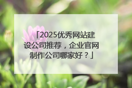 2025优秀网站建设公司推荐，企业官网制作公司哪家好？