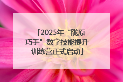 2025年“陇原巧手”数字技能提升训练营正式启动