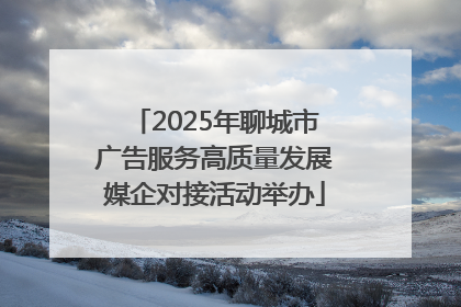2025年聊城市广告服务高质量发展媒企对接活动举办