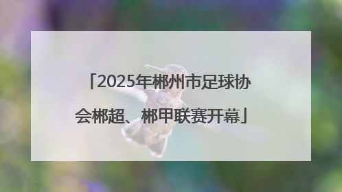 2025年郴州市足球协会郴超、郴甲联赛开幕