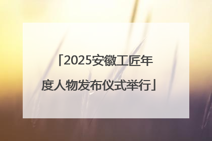 2025安徽工匠年度人物发布仪式举行
