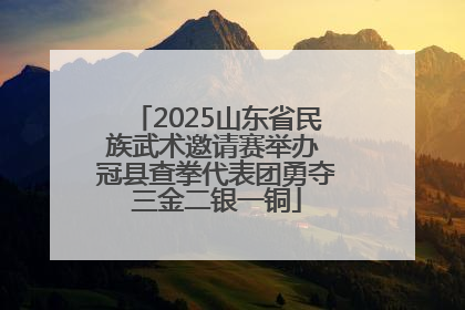 2025山东省民族武术邀请赛举办 冠县查拳代表团勇夺三金二银一铜