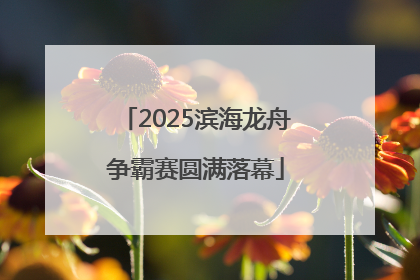 2025滨海龙舟争霸赛圆满落幕