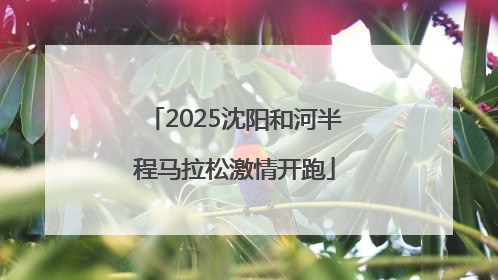 2025沈阳和河半程马拉松激情开跑