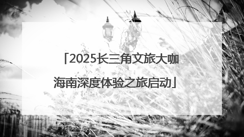 2025长三角文旅大咖海南深度体验之旅启动