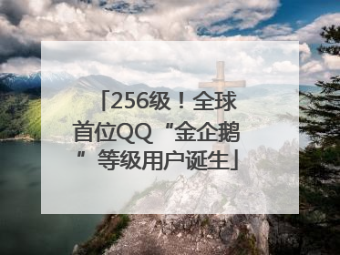 256级！全球首位QQ“金企鹅”等级用户诞生