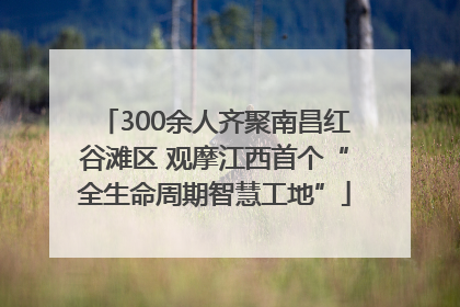 300余人齐聚南昌红谷滩区 观摩江西首个“全生命周期智慧工地”