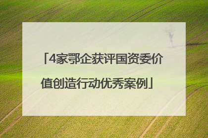 4家鄂企获评国资委价值创造行动优秀案例