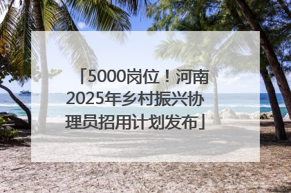 5000岗位！河南2025年乡村振兴协理员招用计划发布