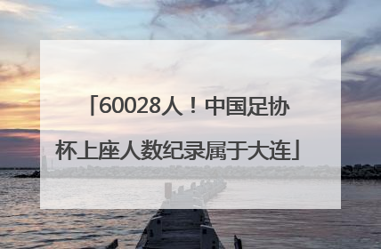 60028人！中国足协杯上座人数纪录属于大连