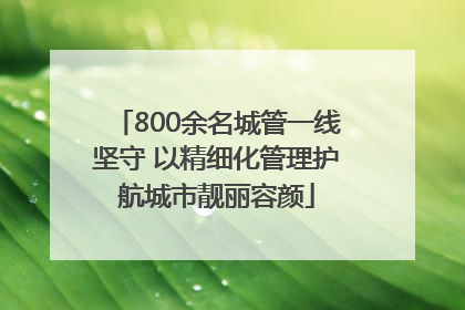 800余名城管一线坚守 以精细化管理护航城市靓丽容颜