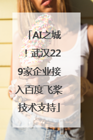 AI之城！武汉229家企业接入百度飞桨技术支持