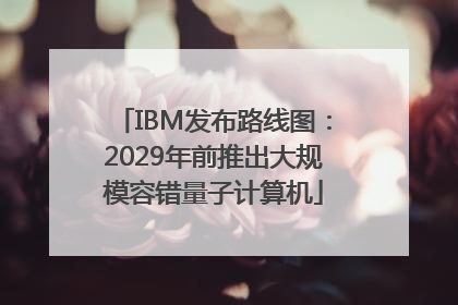 IBM发布路线图：2029年前推出大规模容错量子计算机