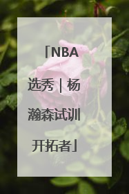 NBA选秀｜杨瀚森试训开拓者