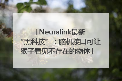 Neuralink最新“黑科技”：脑机接口可让猴子看见不存在的物体