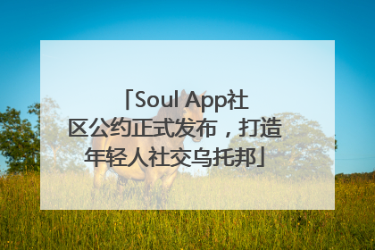 Soul App社区公约正式发布，打造年轻人社交乌托邦