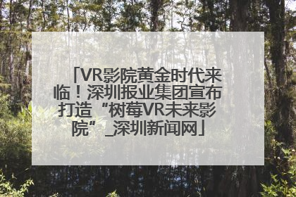 VR影院黄金时代来临！深圳报业集团宣布打造“树莓VR未来影院”_深圳新闻网